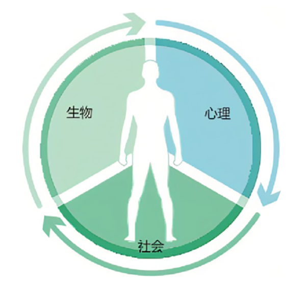 4.png 4.png